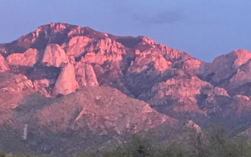 Pink Catalina Mountains at sunset in Tucson