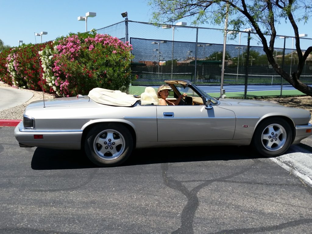 Jaguar top-down driving