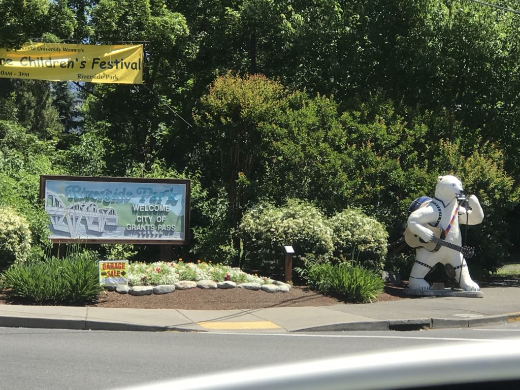 Bear in Grants Pass