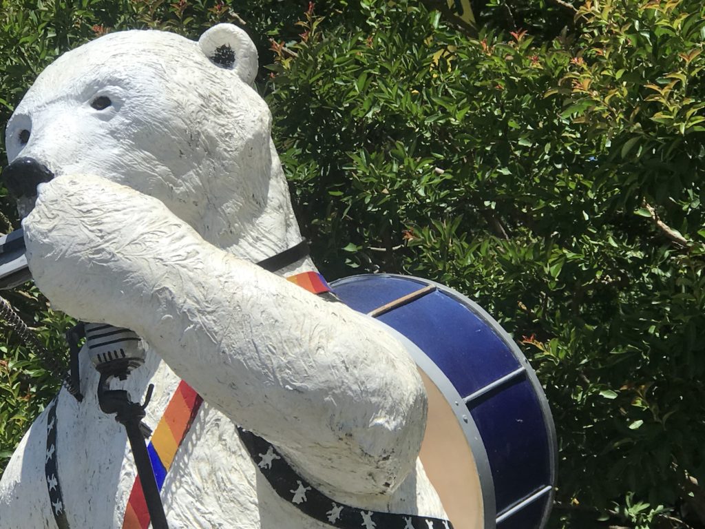 Grants Pass Bear