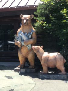 Bears and Salmon in Grants Pass Oregon