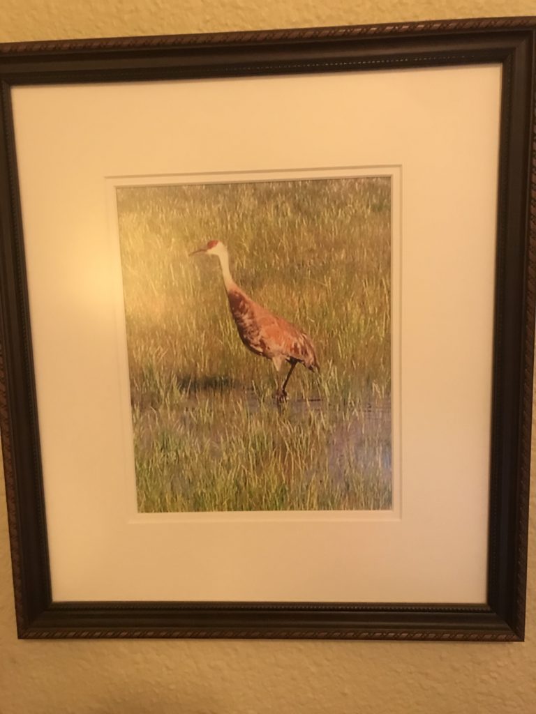 Sandhill Crane room at Boulder Hot Springs, MT