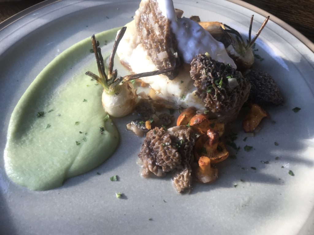 Halibut with morel mushrooms at Chico's Restaurant, MT