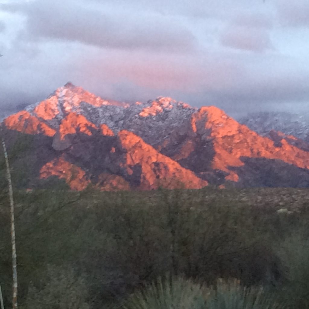 View from my living room at Fossland's Paradise, Catalina, AZ