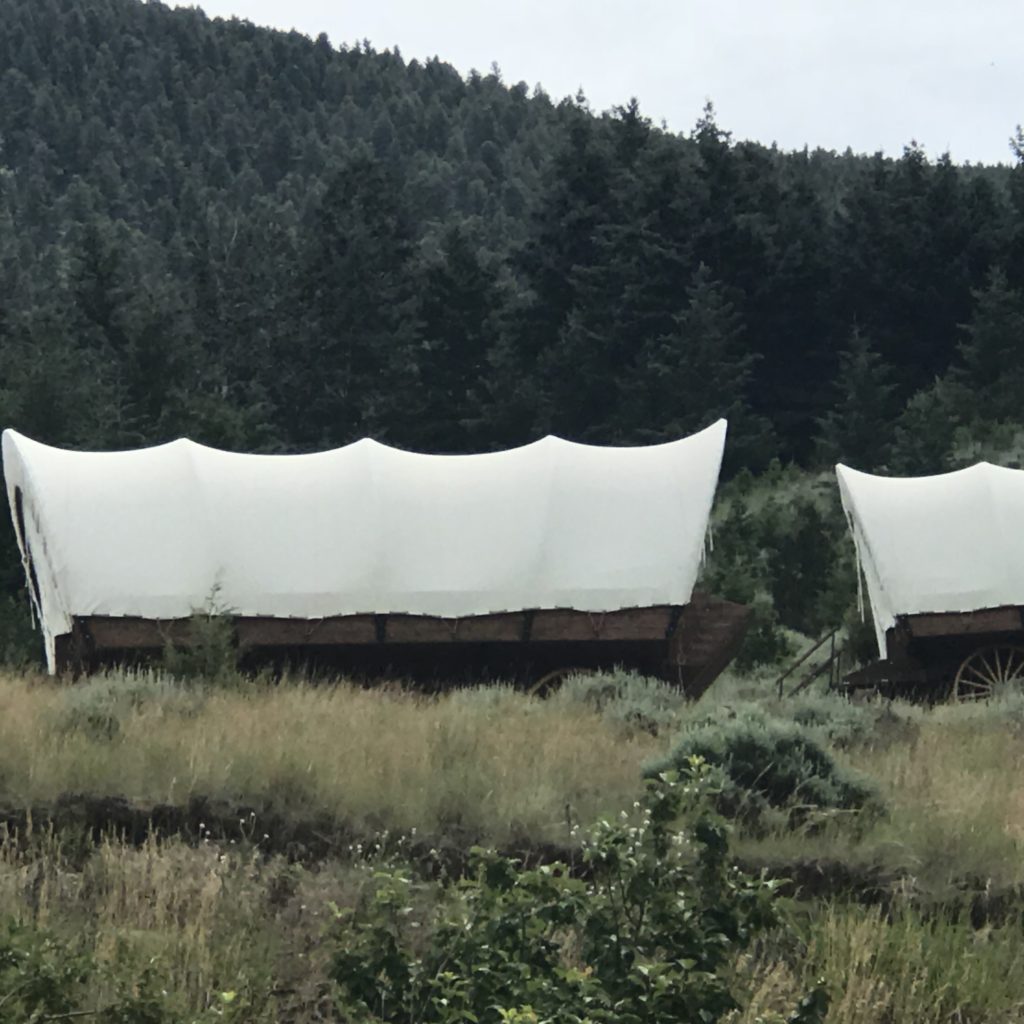 Glamping Covered Wagons at Chico Hot Springs, MT