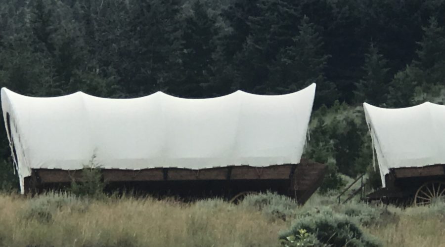 Glamping Covered Wagons at Chico Hot Springs, MT